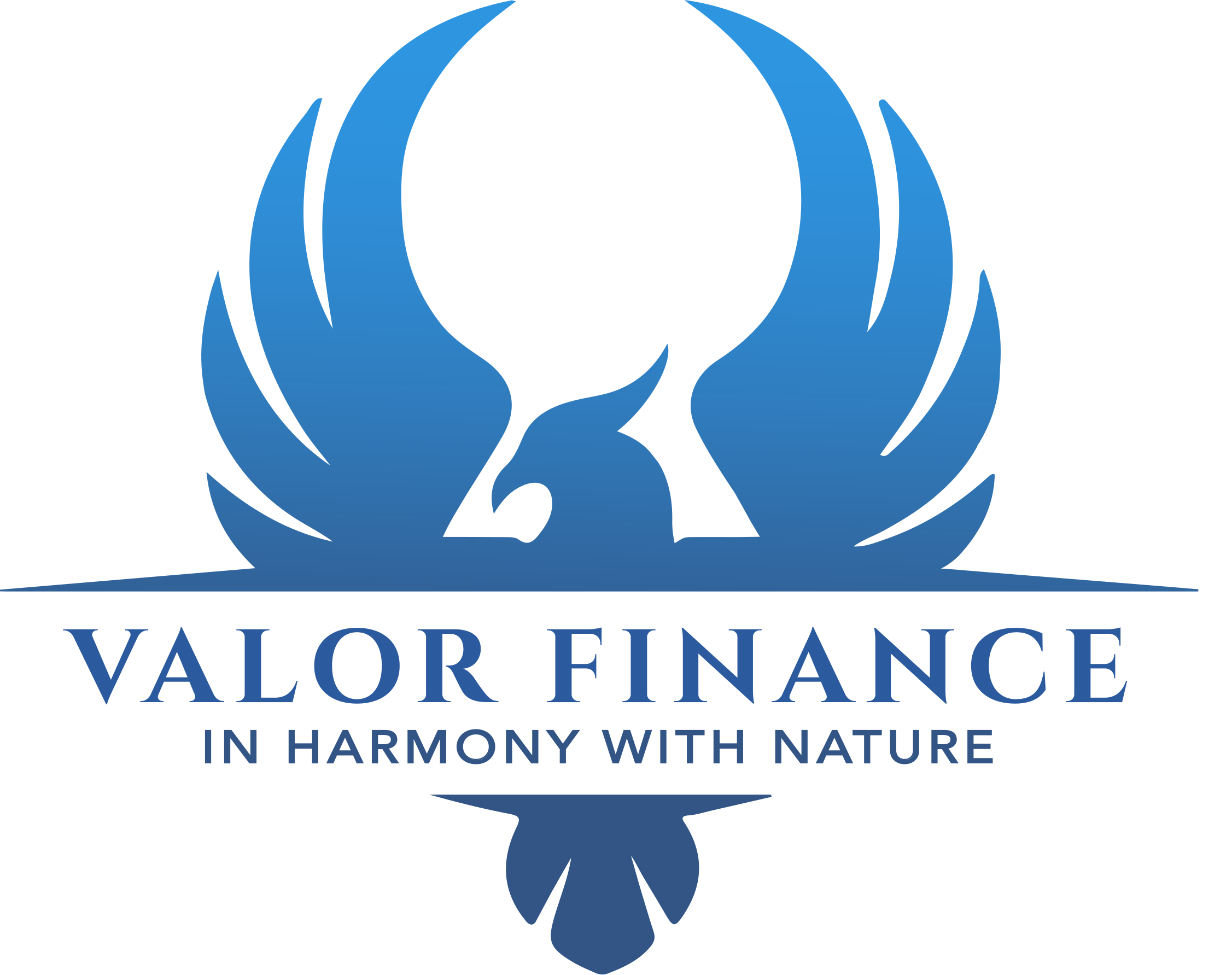 Valor Finance ltd.